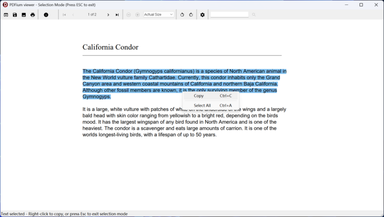 PDFium-VCL-PdfViewer